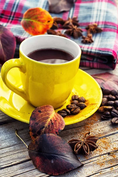 Coffee in the fall — Stock Photo, Image