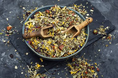 Kurumuş ve taze bitkiler bitkisel ilaç konsepti olarak düzenlenmiştir..