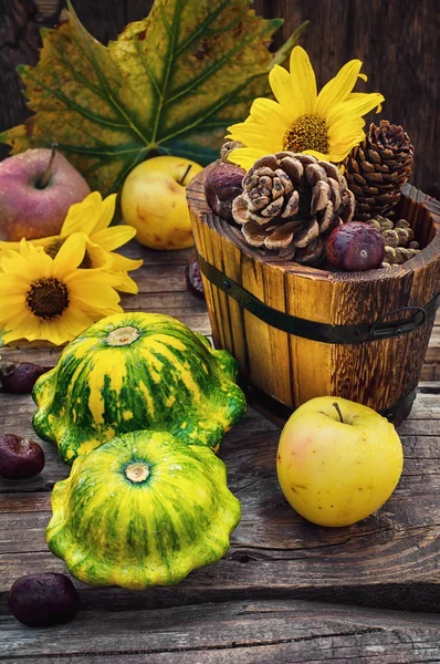 Autumn still life with squash — Stock Photo, Image