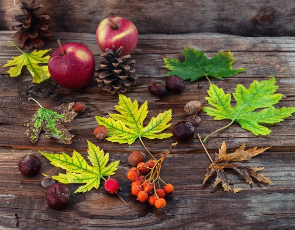 Herfst stilleven. — Stockfoto