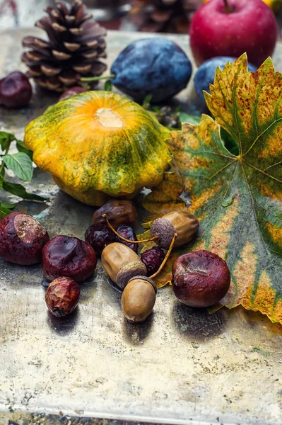 Bodegón de otoño —  Fotos de Stock