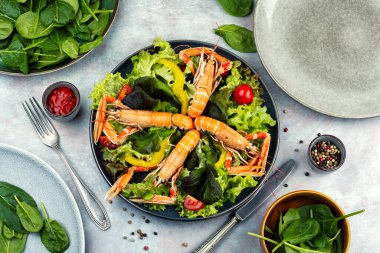 Langoustines, marul ve sebzeli taze salata, dengeli deniz ürünleri tabağı..