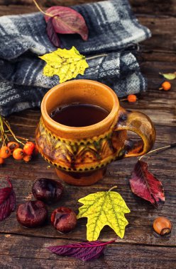 Natürmort geç sonbaharda