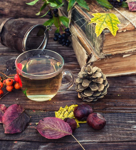 Naturemort tea in autumn — Stock Photo, Image