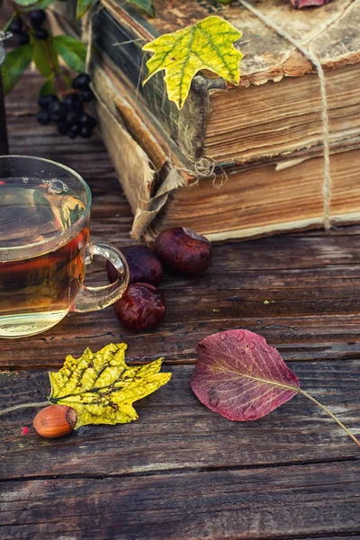 Naturemort tea in autumn — Stock Photo, Image