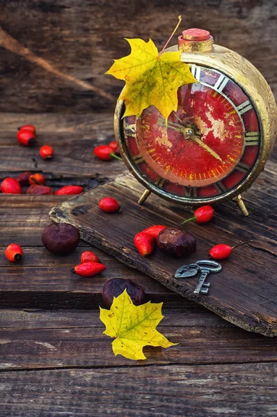 Oude alarm klok in de herfst stijl — Stockfoto