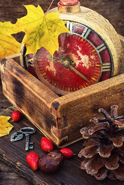 Nyckel för hösten — Stockfoto