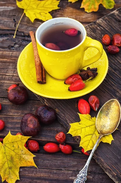 Te med frukterna av nypon — Stockfoto
