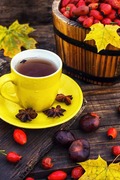 Tea with fruits of dog-rose — Stock Photo, Image