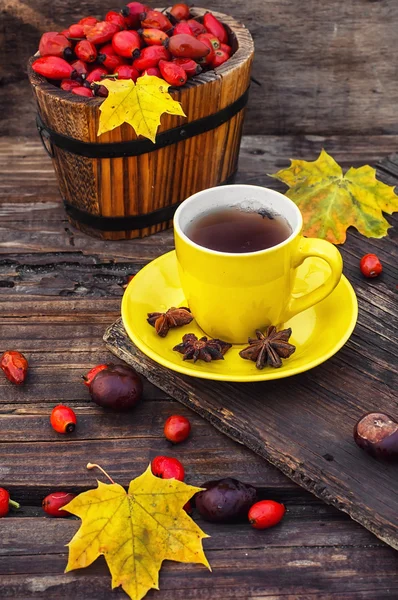 Tea with fruits of dog-rose — Stock Photo, Image