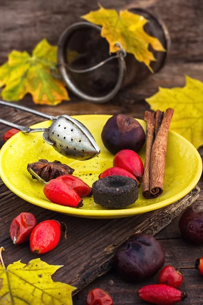 Autumn rose hips tea — Stock Photo, Image