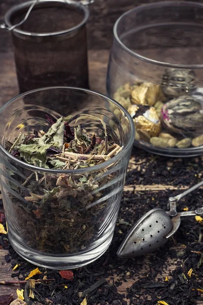 Herbal healing collection — Stock Photo, Image