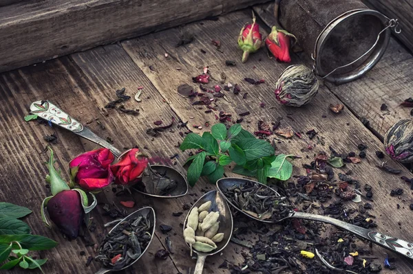 Herbata ziołowa kolekcja odmian — Zdjęcie stockowe