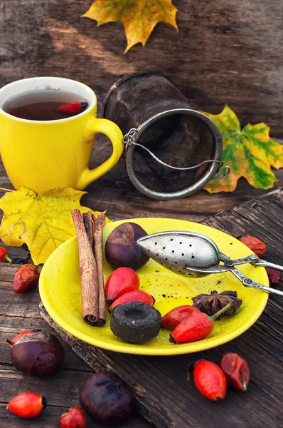 Treatment with decoction of rose hips — Stock Photo, Image