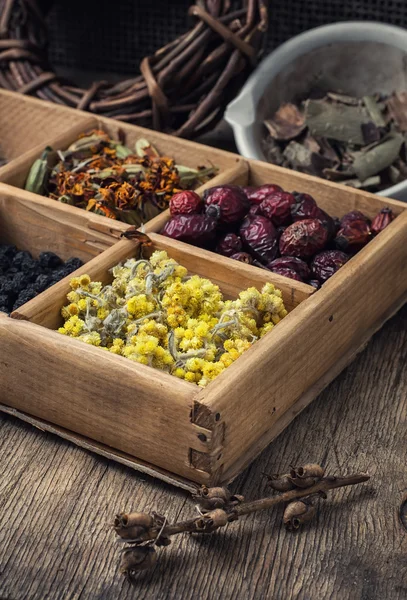 Dried medicinal herb — Stock Photo, Image