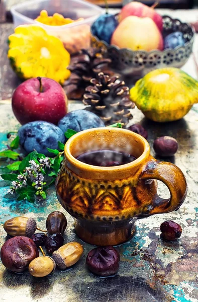 Kupa bitkisel çay — Stok fotoğraf