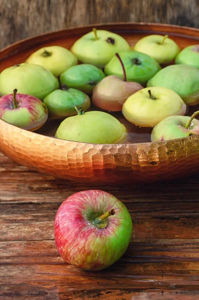 Récolte automnale des pommes — Photo