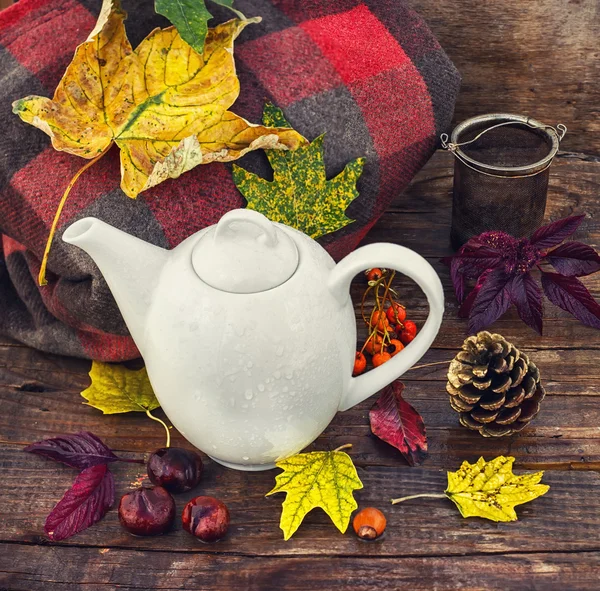 Autumn still life with kettle — Stock Photo, Image