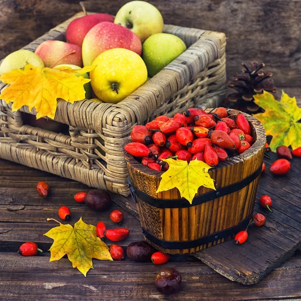 Stilleven met najaar appels — Stockfoto