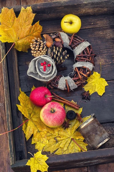 Bodegón de otoño — Foto de Stock