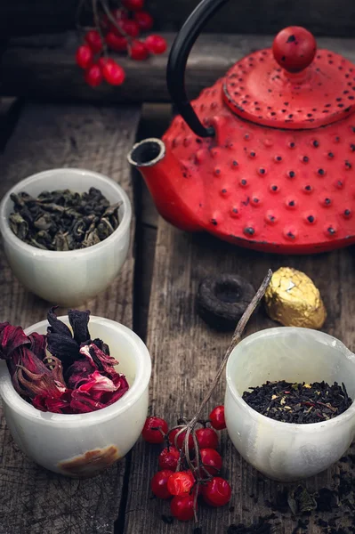 Varieties of tea — Stock Photo, Image