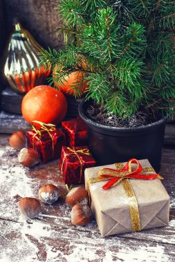 tencerede Noel ağacı 
