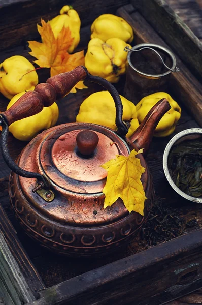 复古风格的水果茶 — 图库照片