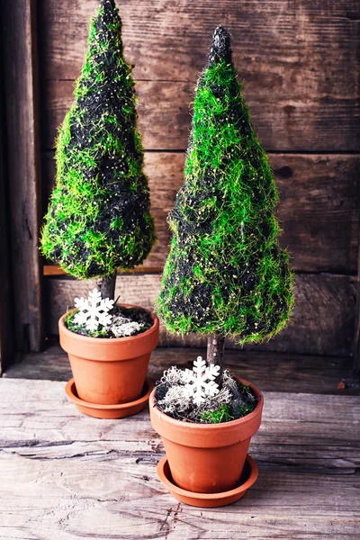 Symbolische Weihnachtszypresse — Stockfoto