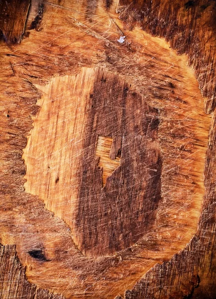 Rebanada de un árbol viejo — Foto de Stock