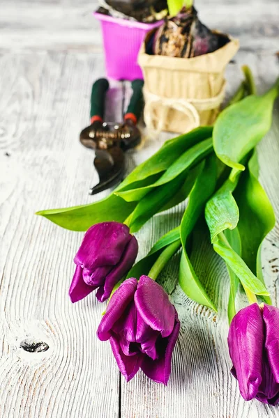 Bodegón con flores de primavera — Foto de Stock