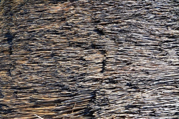 Thatch roof texture — Stock Photo, Image