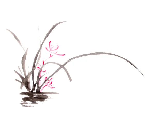 Desenho de orquídea de tinta — Fotografia de Stock