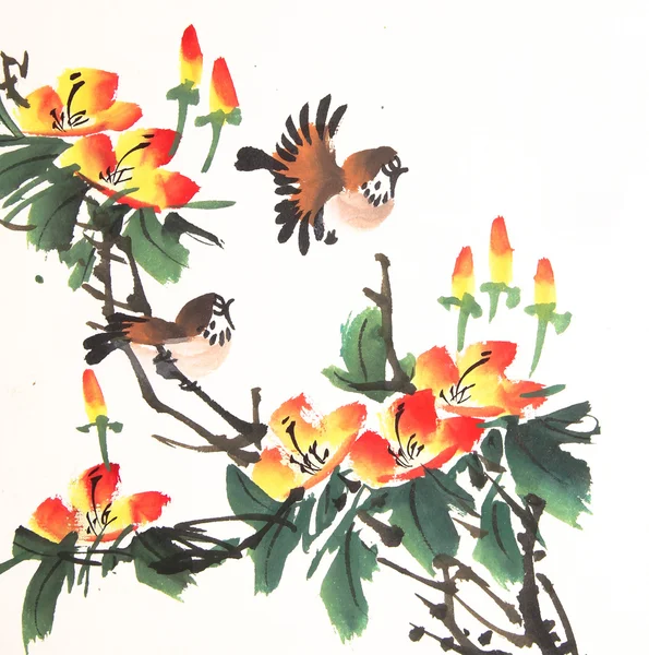 Čínské tušové malby ptáků a rostlin — Stock fotografie
