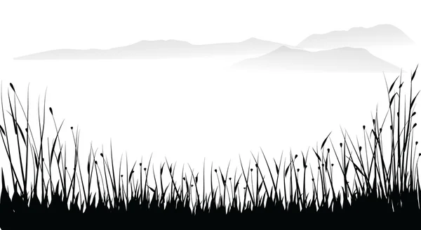 Vector grass — Stock Vector