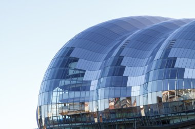 Gateshead adaçayı