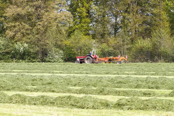 Agricultura na Primavera — Fotografia de Stock