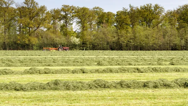 Kırmızı Traktör çekme