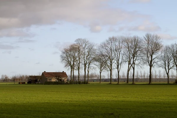Holandská Zimní krajina — Stock fotografie