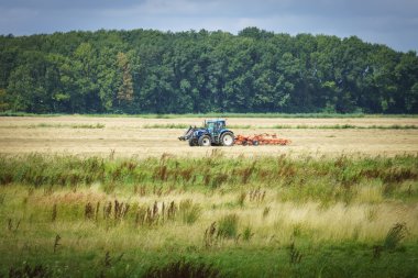 Dönüm çim manzara
