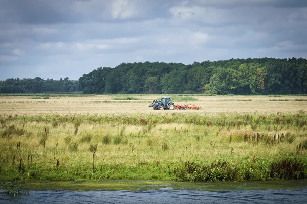 Kijk in de biesbosch — Stockfoto