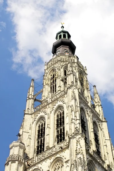 Breda katedral kule mavi gökyüzü karşı — Stok fotoğraf