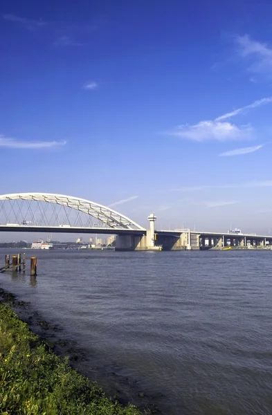 Bro över floden maas i rotterdam, holland — Stockfoto