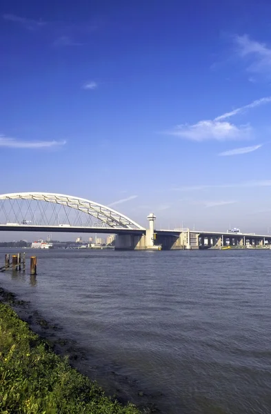 Brug over de rivier de maas in rotterdam, Nederland — Stockfoto