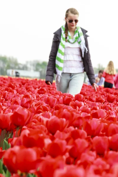 Девушка в красных тюльпанах — стоковое фото