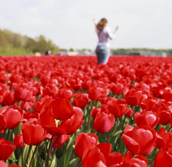 Filets de fleurs Images De Stock Libres De Droits