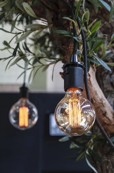 İç Işıklandırma