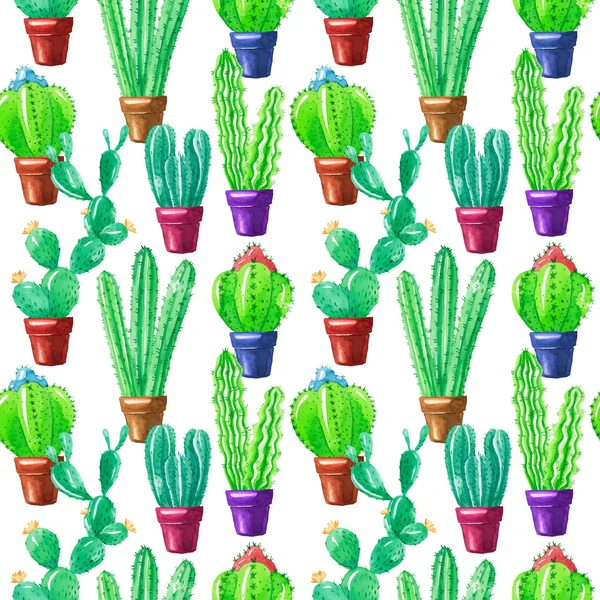 Seamless Pattern with succulents — Stock Vector