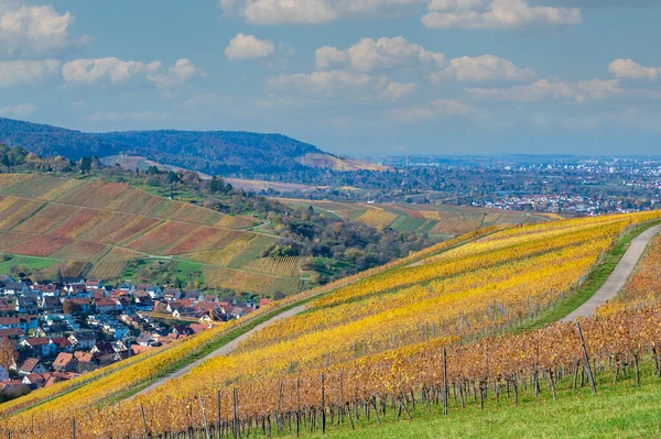 Struempfelbach Winnice Regionie Weinstadt Piękny Krajobraz Autum Niedaleko Stuttgartu Badenia — Zdjęcie stockowe