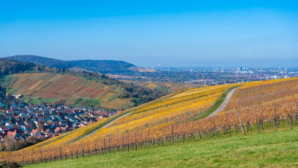 Struempfelbach Winnice Regionie Weinstadt Piękny Krajobraz Autum Niedaleko Stuttgartu Badenia — Zdjęcie stockowe