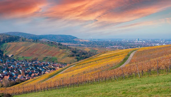 Struempfelbach Winnice Regionie Weinstadt Piękny Krajobraz Autum Niedaleko Stuttgartu Badenia — Zdjęcie stockowe